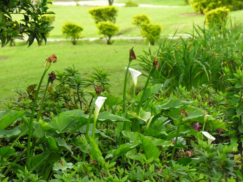 Bali_P333.JPG