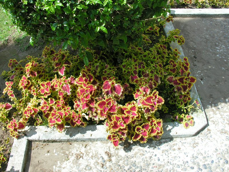Bali_P338.JPG