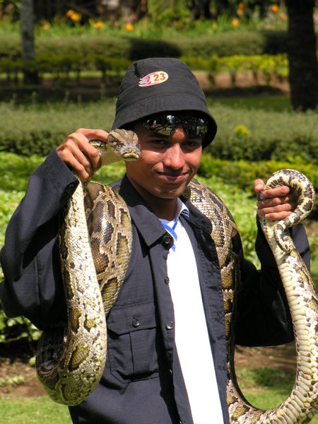 Bali_P341.JPG