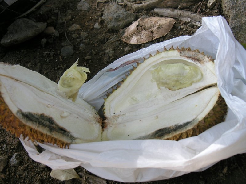 Bali_P343.JPG