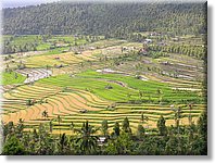 Bali_P304.JPG