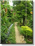 Bali_P306.JPG