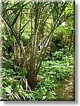 Bali_P310.JPG