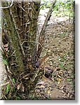 Bali_P311.JPG