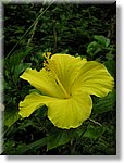 Bali_P312.JPG
