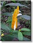 Bali_P314.JPG