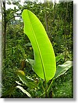 Bali_P320.JPG