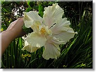 Bali_P321.JPG