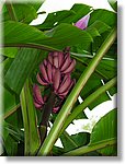 Bali_P322.JPG