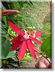 Bali_P323.JPG