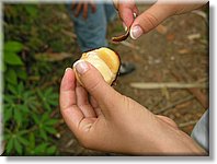 Bali_P325.JPG