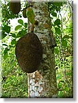 Bali_P326.JPG