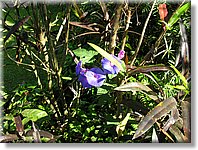 Bali_P330.JPG