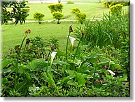 Bali_P333.JPG