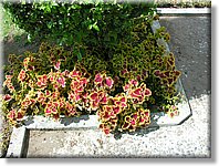Bali_P338.JPG
