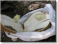 Bali_P343.JPG