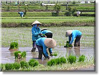 Bali_P344.JPG