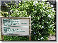 Bali_P346.JPG