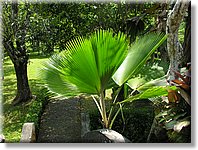 Bali_P348.JPG