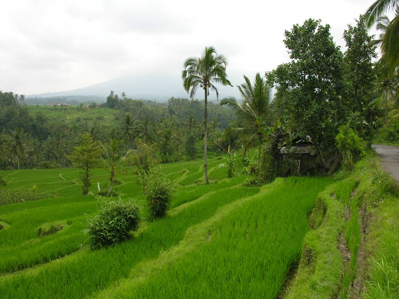 Bali_P402.JPG