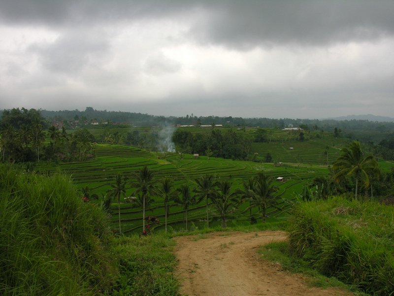 Bali_P412.JPG