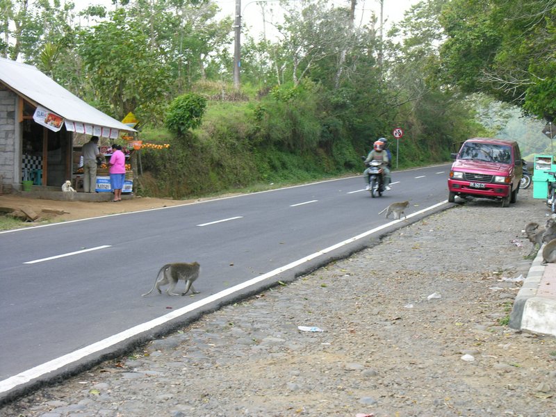 Bali_P425.JPG