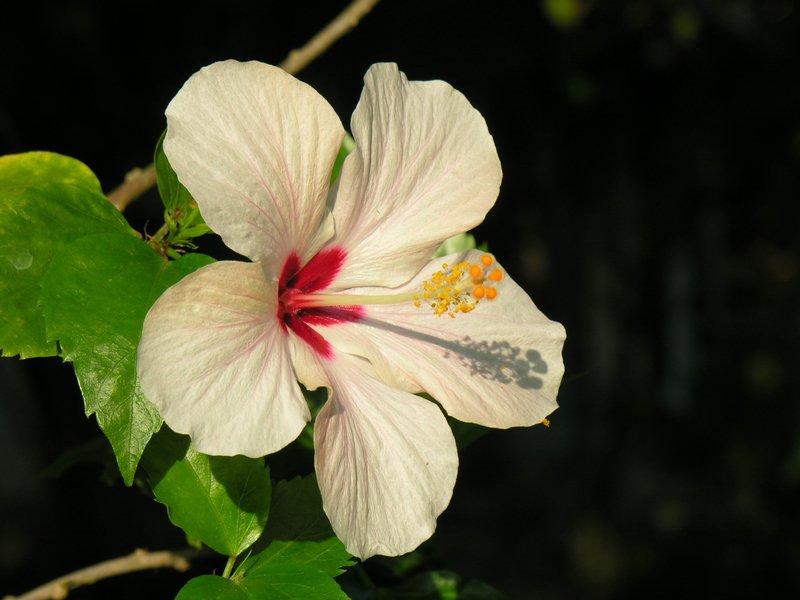 Bali_P427.JPG