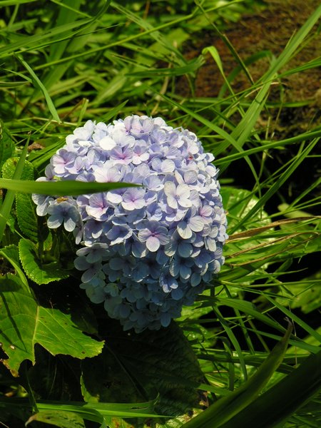 Bali_P429.JPG