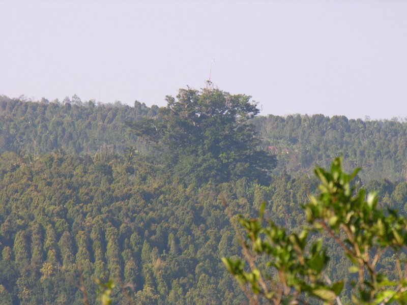 Bali_P433.JPG