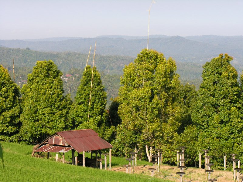 Bali_P435.JPG
