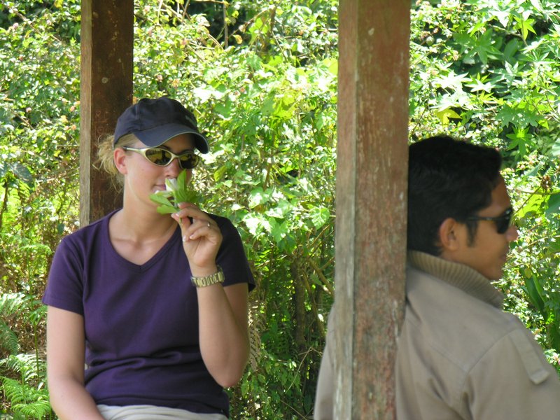 Bali_P448.JPG