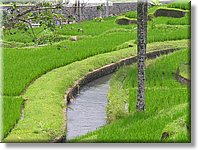 Bali_P406.JPG