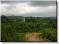 Bali_P412.JPG