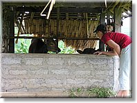 Bali_P413.JPG