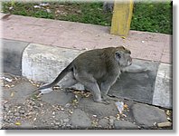 Bali_P422.JPG