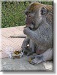 Bali_P424.JPG