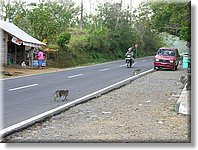 Bali_P425.JPG