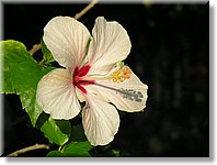 Bali_P427.JPG