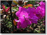 Bali_P428.JPG