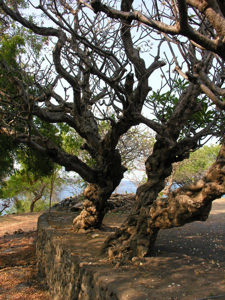 Bali_P510.JPG