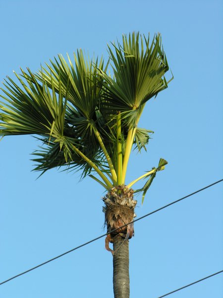 Bali_P514.JPG