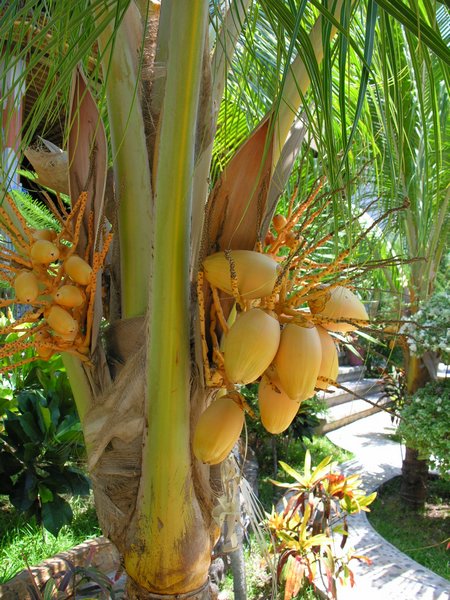 Bali_P522.JPG