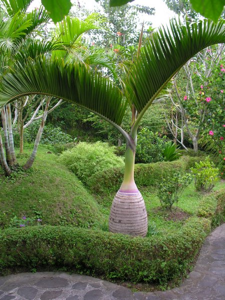 Bali_P547.JPG