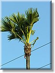 Bali_P514.JPG