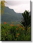 Bali_P548.JPG