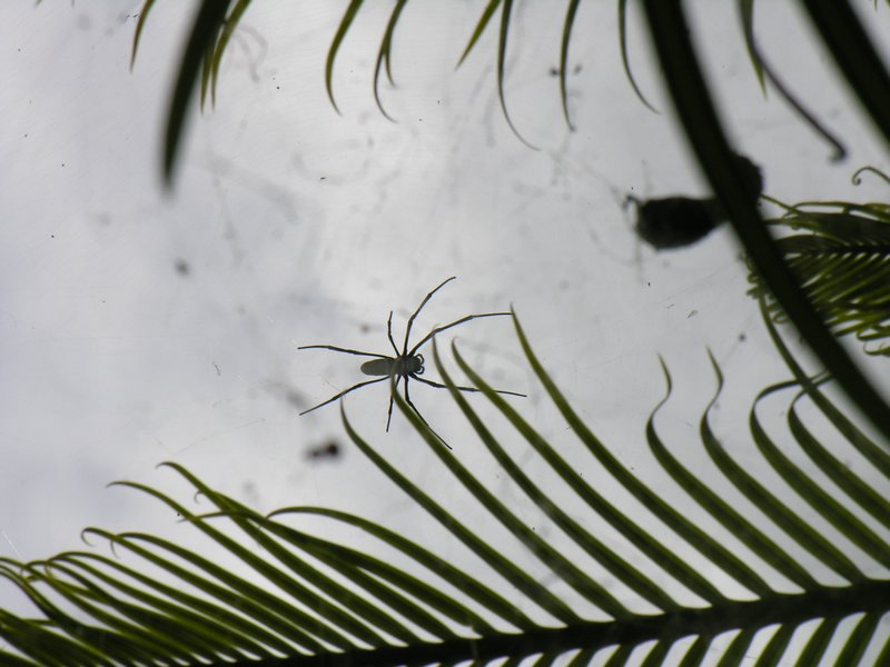 Bali_P613.JPG