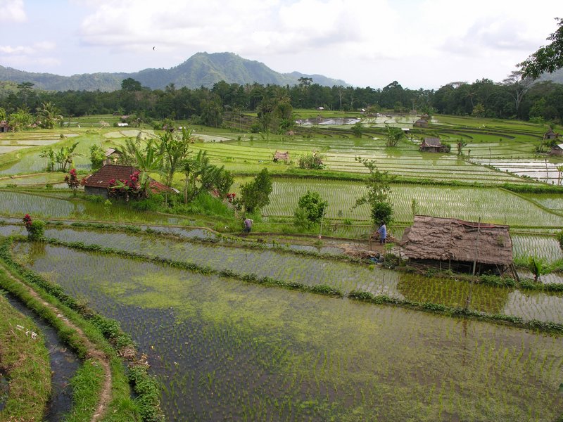 Bali_P621.JPG