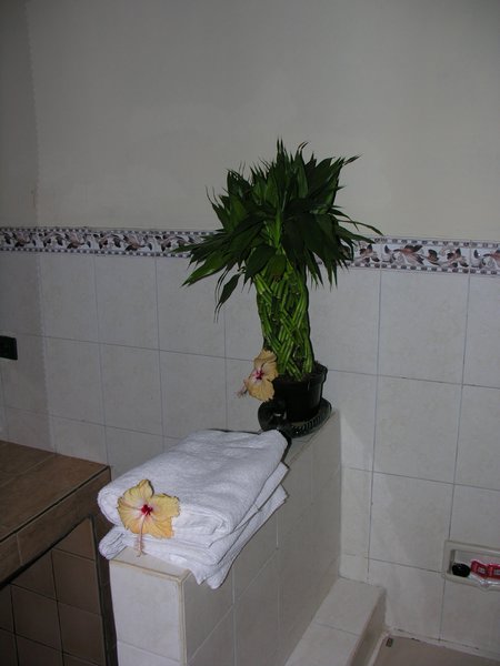Bali_P646.JPG