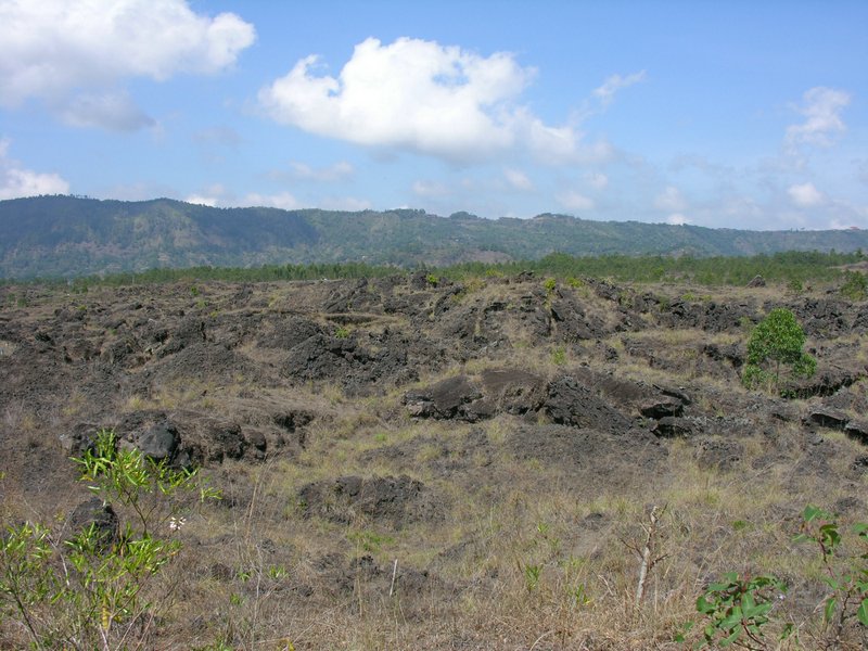 Bali_P651.JPG