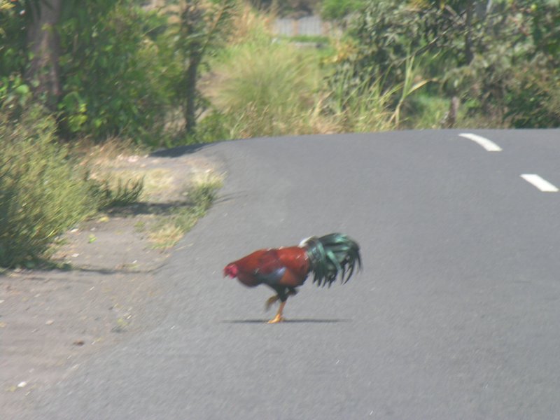 Bali_P654.JPG
